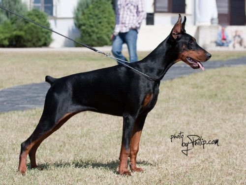 clarissa csina baba 7 months old.jpg